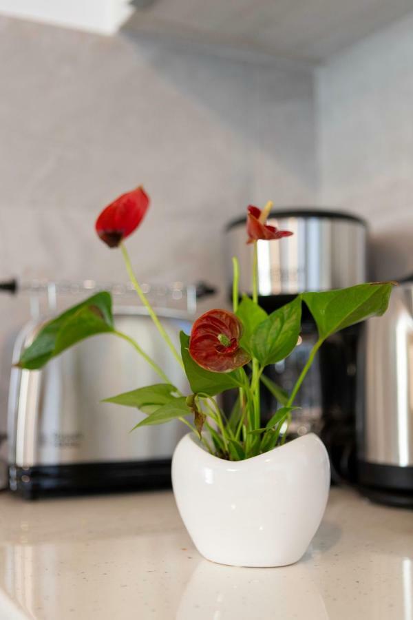 Marilena Natural Stone House, By Hellocrete Pigí エクステリア 写真